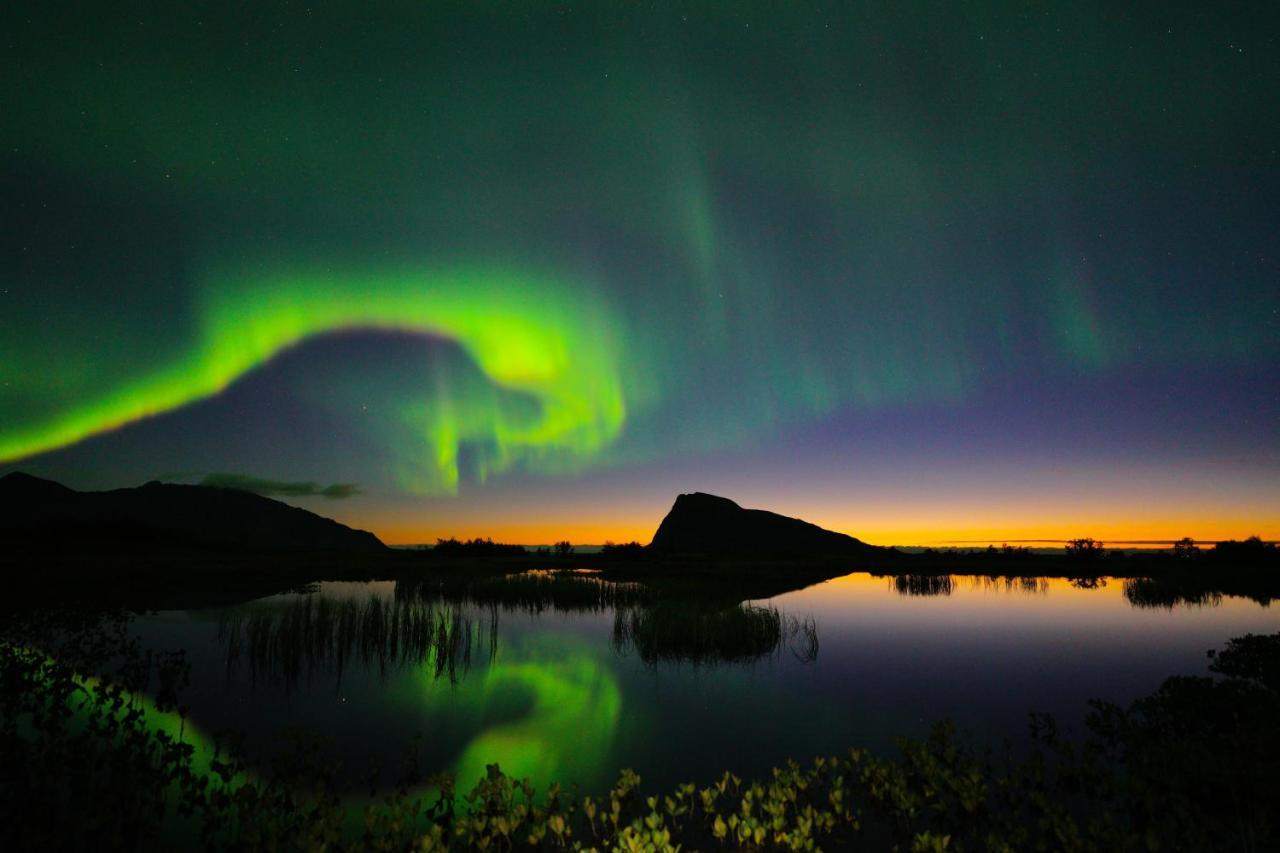 Lofoten Holiday Kabelvåg المظهر الخارجي الصورة