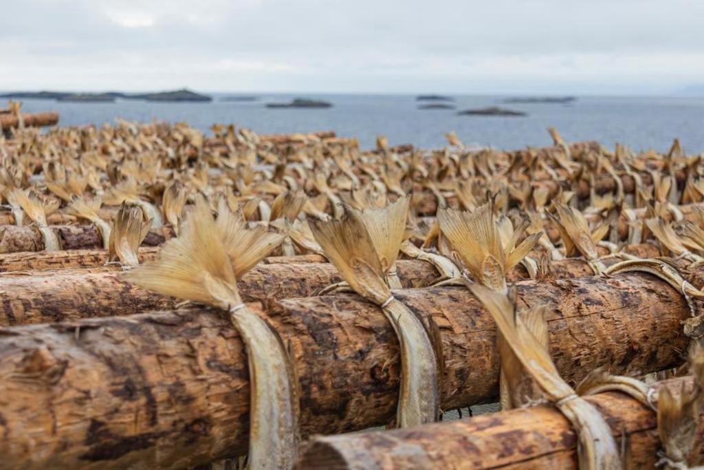 Lofoten Holiday Kabelvåg المظهر الخارجي الصورة