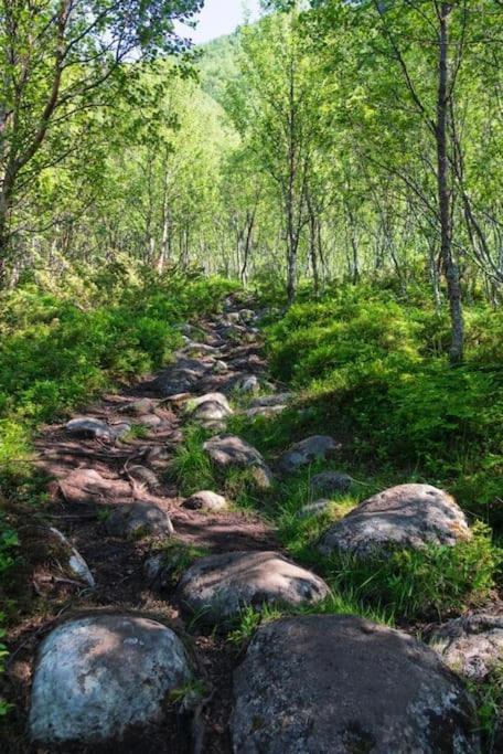 Lofoten Holiday Kabelvåg المظهر الخارجي الصورة